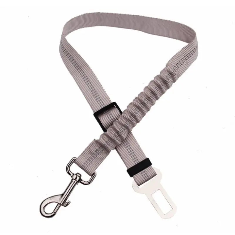 Dog Seatbelt